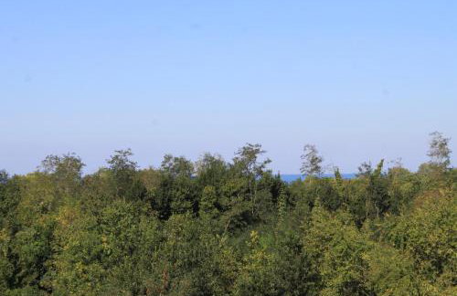 Apartments with parking space Basanija, Umag - 7149 - Foto 24