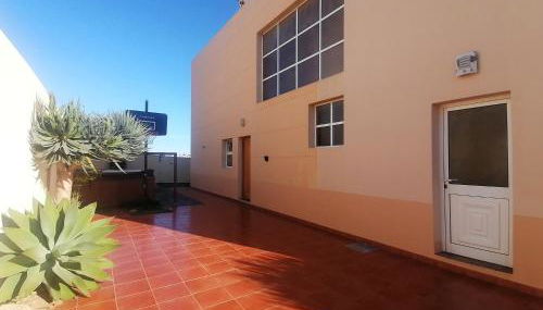 O DRAGOEIRO da Madalena! - Foto 5