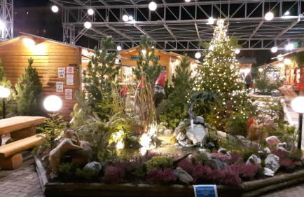 Mon grenier - Foto 3