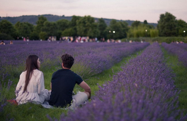 Belvilla by OYO Cotogno - Foto 23