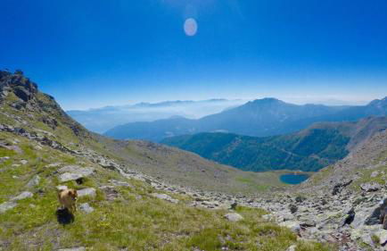 Residence Karpoforus - Photo 37