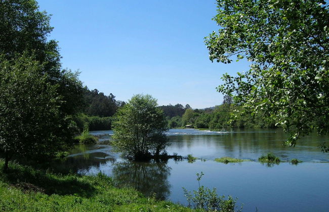 Holiday Home in Ponte de Lima With Pool - Foto 28