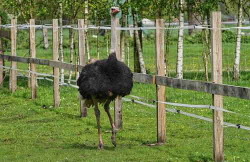 Gästewohnung Hardinghaus am Teich - Foto 41