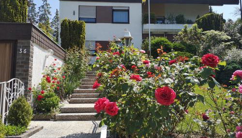 Apartments Gala, ruhige Lage, stadtnah - Foto 2