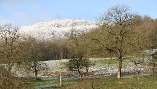 Ferienwohnung Schlierbachtal - Foto 3