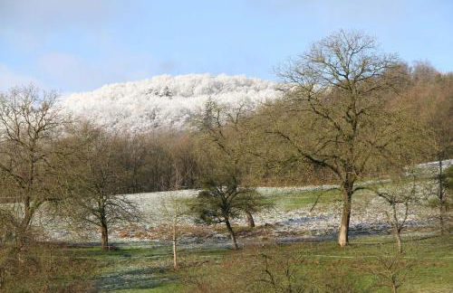 Ferienwohnung Schlierbachtal - Photo 3