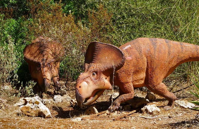 Oferta: Dreams Park Show al completo - Foto 4