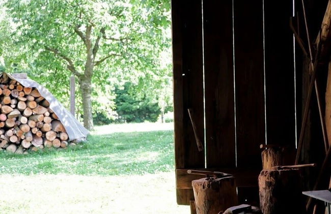 Hainich-Ferienhof - Foto 25