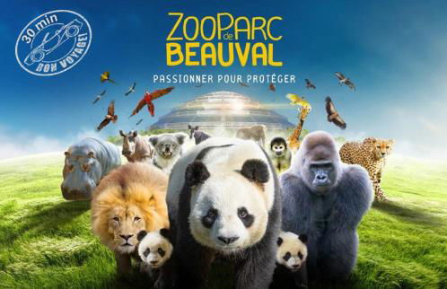 L'oberlin charmante maisonnette - Foto 30