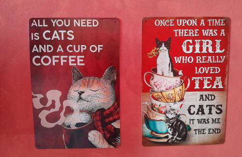 Casita Esperanza - Foto 15