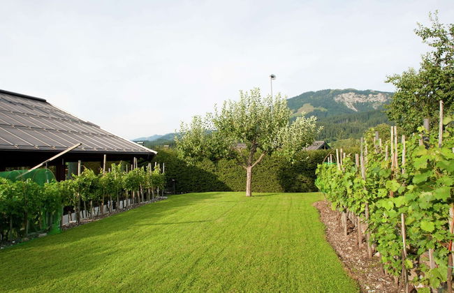 Elegant Apartment in Sankt Johann in Tyrol near Ski Slopes - Foto 14