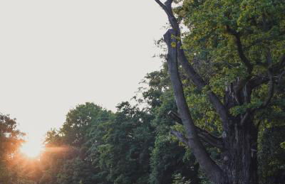 Vierseitenhof Appartements - Foto 75