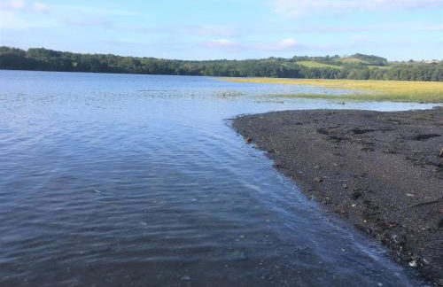 Lower Marsh Farm in Cornwall - Photo 12