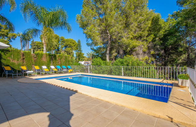 Eucaliptus - Foto 30