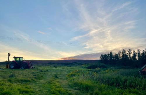 Ceol na Mara - Foto 33