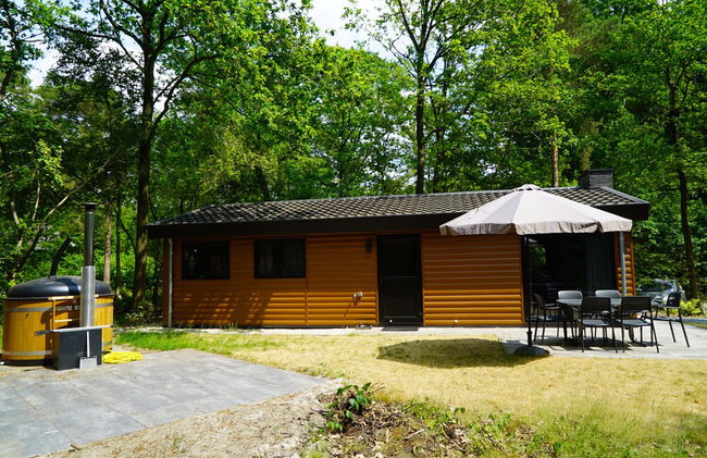 Vakantiepark De Wiltzangh - Foto 43