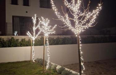 Villa One - Photo 47