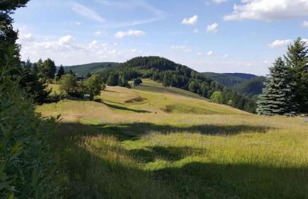 Apartments und Bistro Zum Glasmacher - Foto 76