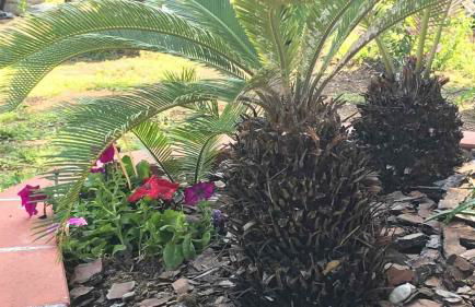 Villetta sul mare - Foto 36