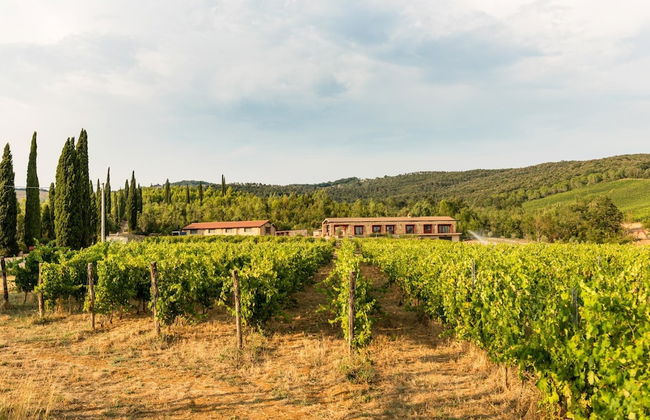 Tenuta Casteani - Foto 62