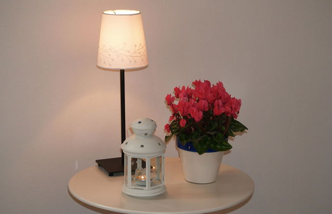 Masseria La Torre - Foto 6