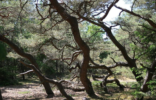 8 Person Holiday Home in Melby-by Traum - Foto 19