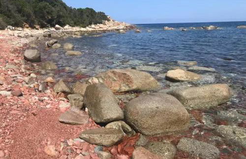 Villa Ucellu sur 600 m2 avec accès mer privilégié et piscine privée chauffée - Foto 8