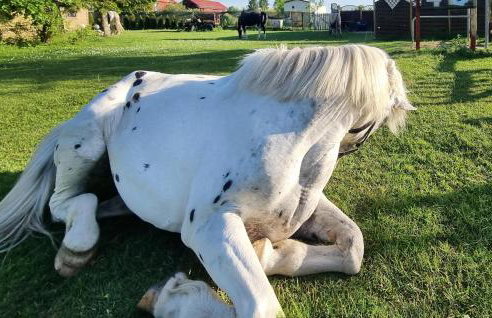 2 Bedroom Cozy Home In Rekowo - Foto 14