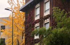 Deliziosa stanza in Maggiolina - Foto 1