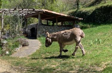 Mymoustiers - Foto 67