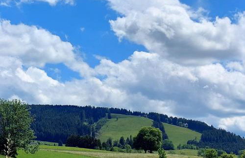 Ferienhaus Rasch - Foto 28