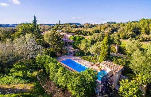 Higo Chumbo - Foto 9