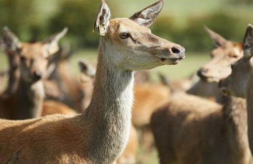 Walesby House - Foto 33