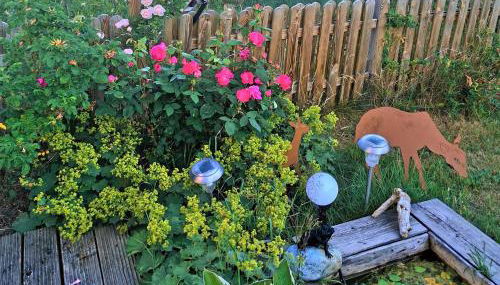 Ferienhaus "Hirschsieh" - Foto 5