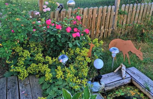 Ferienhaus "Hirschsieh" - Foto 5