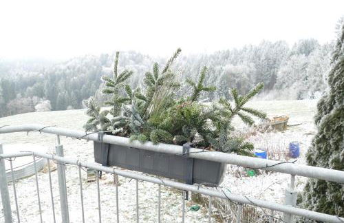 Bushof - Leben auf dem Land - Foto 38