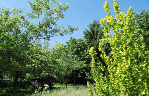 NaturflairHaus - Foto 16