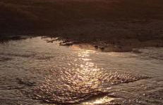 Guesthouse To kalivi - Foto 34