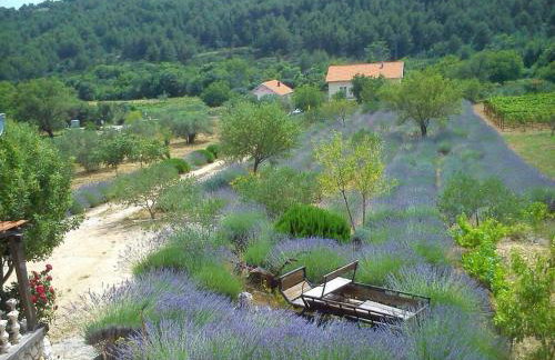 Apartmani Goga - Foto 49