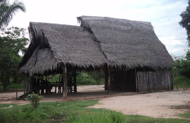 Yarinacocha & Pacacocha Lakes Excursion - Photo 5