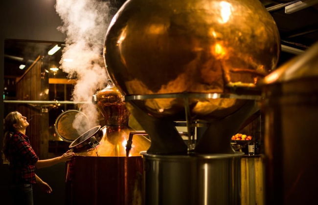 Three Beaches - Chic Eco Home Tasmania - Foto 58