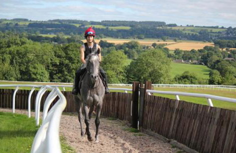 Sun Hill Farmhouse - Photo 42