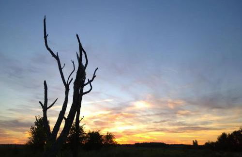 Farmstay Neuendorfkrug, Lütow - Foto 73