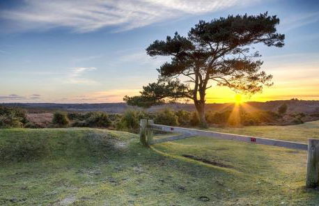 Beautiful 3 bed cottage in Lymington. Perfectly located for Coast and New Forest - Foto 27