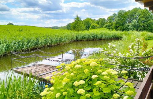 Nad żabim stawem - Foto 7