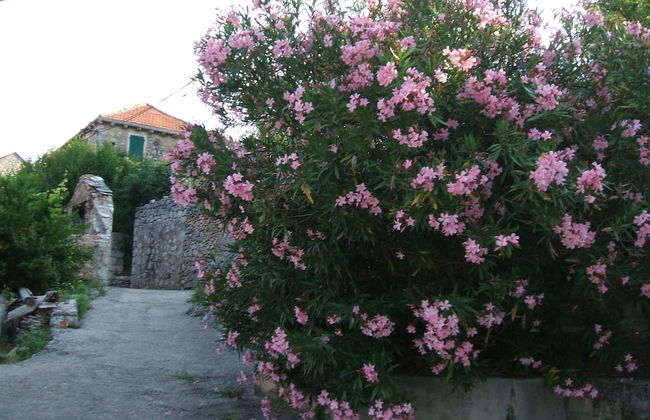 House Pod Humom - Foto 42