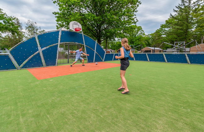 3 bedroom House in Arnhem with swimming pool and garden - Photo 11