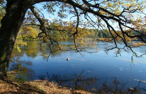 Resort "Schloss Reinharz" - Foto 6