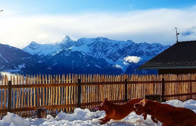 Alpine Vacation Home - Foto 12