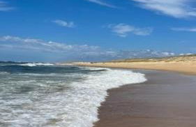 Lanas Natura - Foto 12